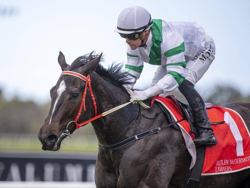 Talented filly Kisukano is headed for a Sydney campaign after winning the Bruce McLachlan Classic.