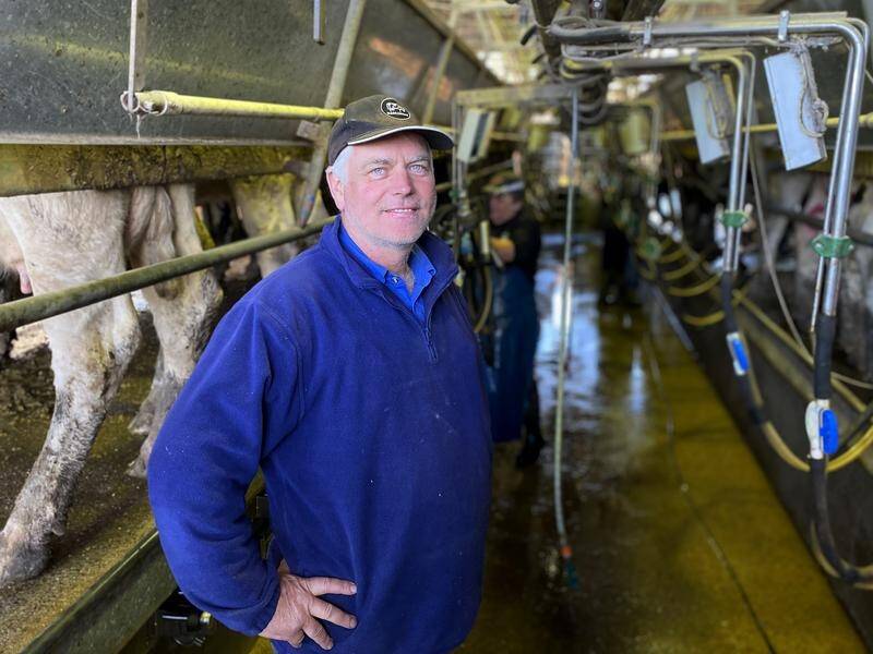 Milton dairy farmer Rob Miller says the regional housing shortage means he's lost workers. (LIV CASBEN)