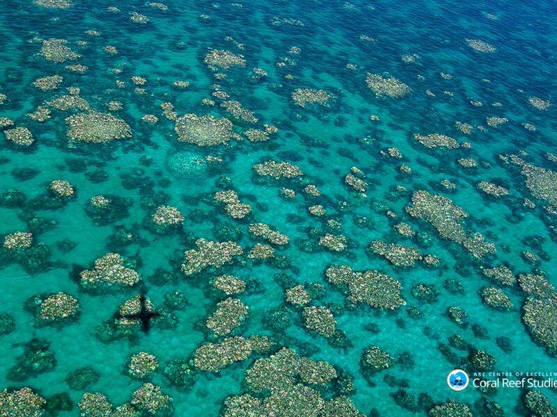 A senior Queensland lecturer says action to protect the Great Barrier Reef will have world benefits.