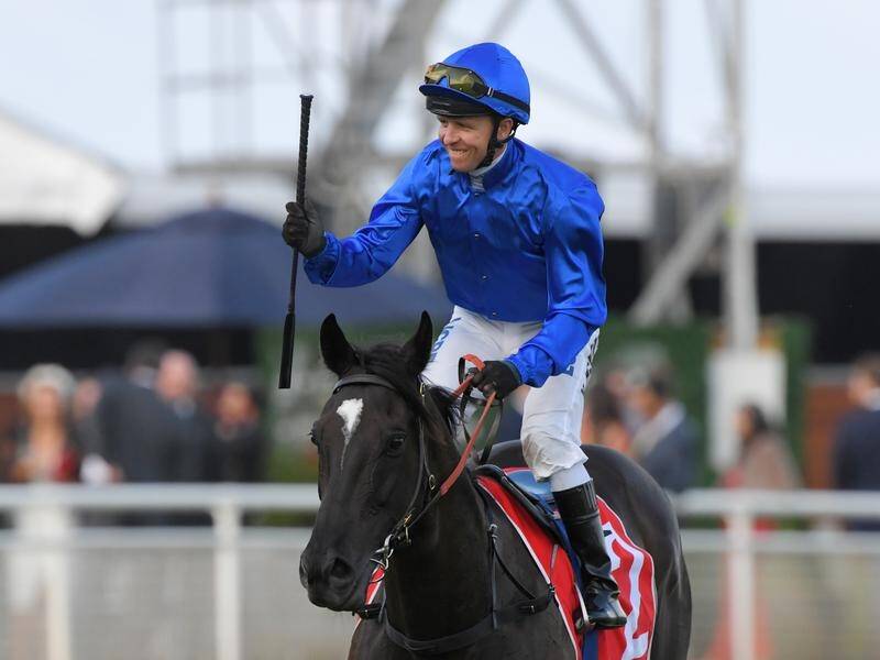 Godolphin will reassess spring goals for Avilius following his Group One George Main Stakes win.