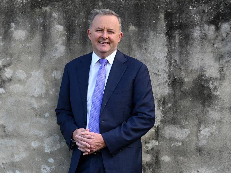 Labor leadership hopeful Anthony Albanese is considering backing all of the government's tax plan.