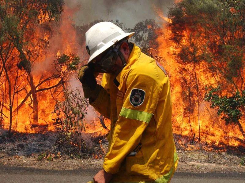 Thousands of people will be facing their first major fire season living in regional areas. (Mick Tsikas/AAP PHOTOS)