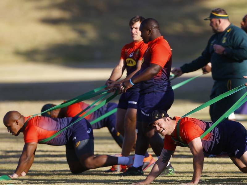 South Africa's forward pack is rated among world rugby's most imposing.