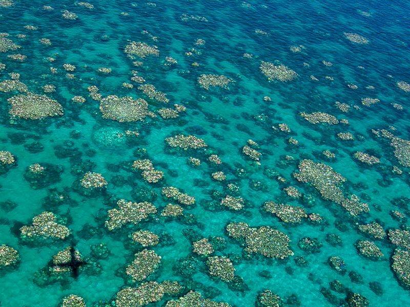 Research shows marine heatwaves are far more damaging to coral reefs than previously thought.