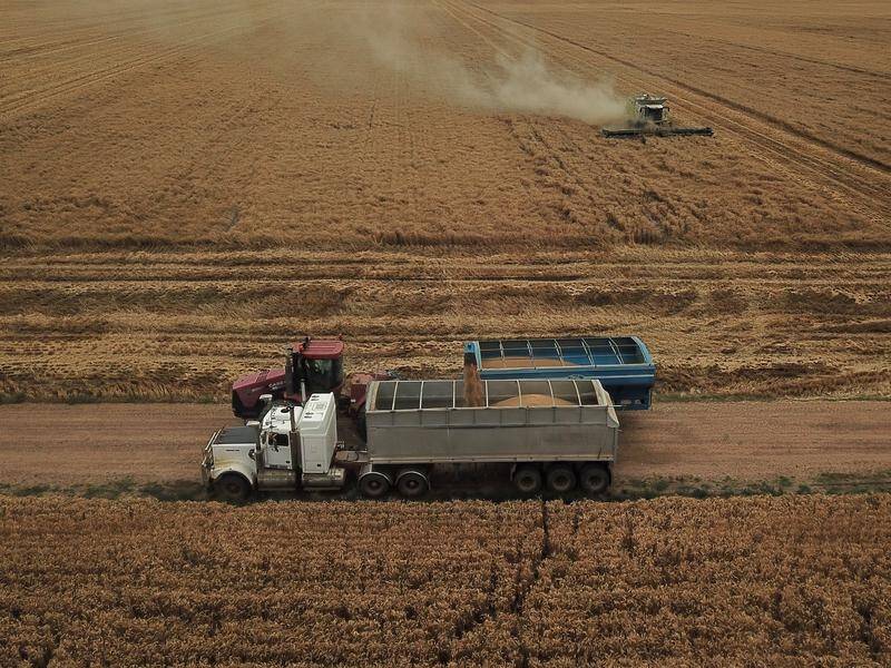 Australia's winter crop production will hit a new national record, according to the ABARES.
