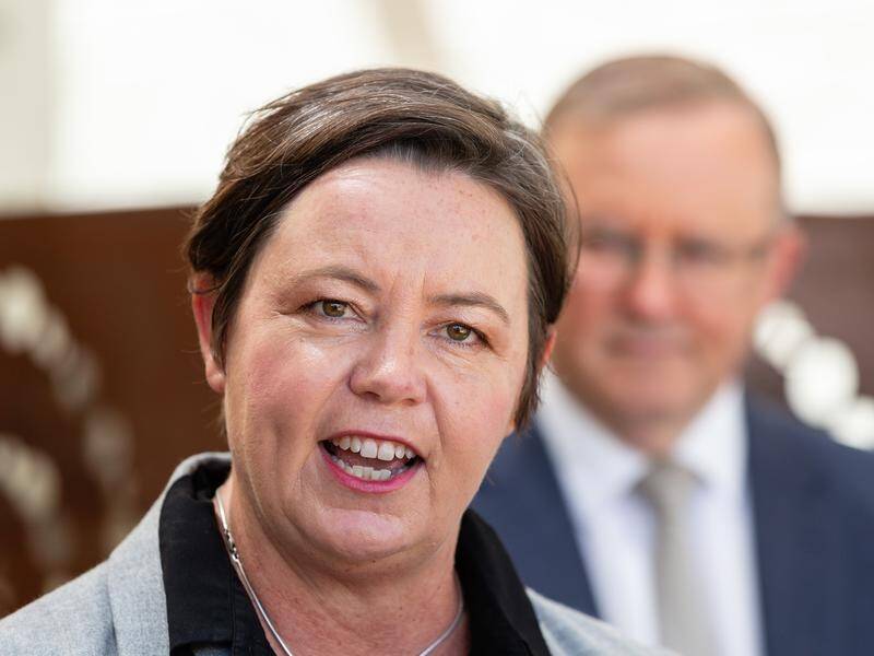Madeleine King has reassured energy bosses that federal Labor backs the gas industry.