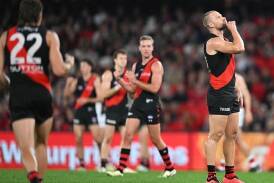 Essendon's Jake Stringer (right) interacts with the crowd after kicking a goal against St Kilda. (James Ross/AAP PHOTOS)