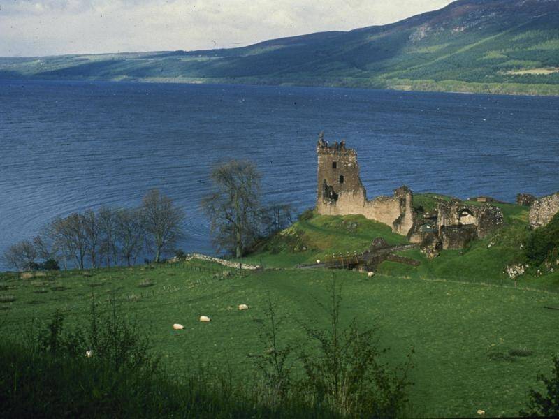 Conservationists plan to plant new forests on peaks near Loch Ness over the next 50-100 years.