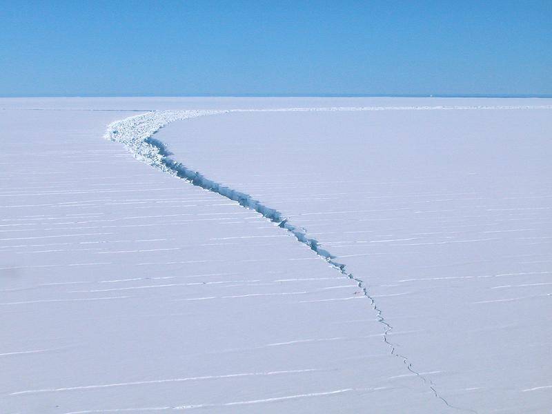 Scientists are worried about the damage caused by the first heatwave recorded in Antarctica.