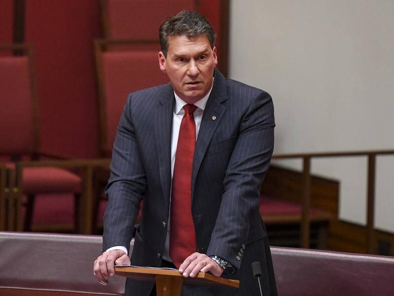 Independent senator Cory Bernardi has formally resigned from parliament.