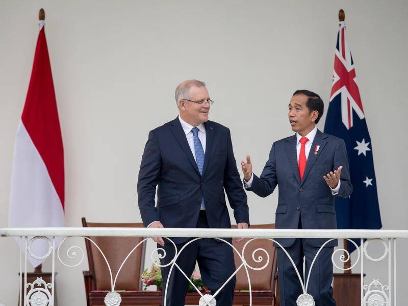Australia and Indonesia are expecting to sign a free trade deal ahead of their elections this year.