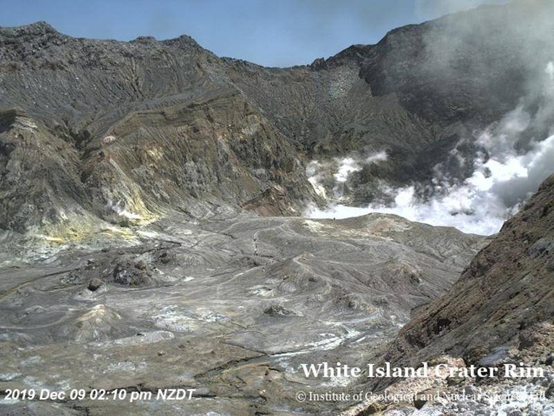 NZ's White Island in the Bay of Plenty had 47 tourists visiting when its volcano erupted.