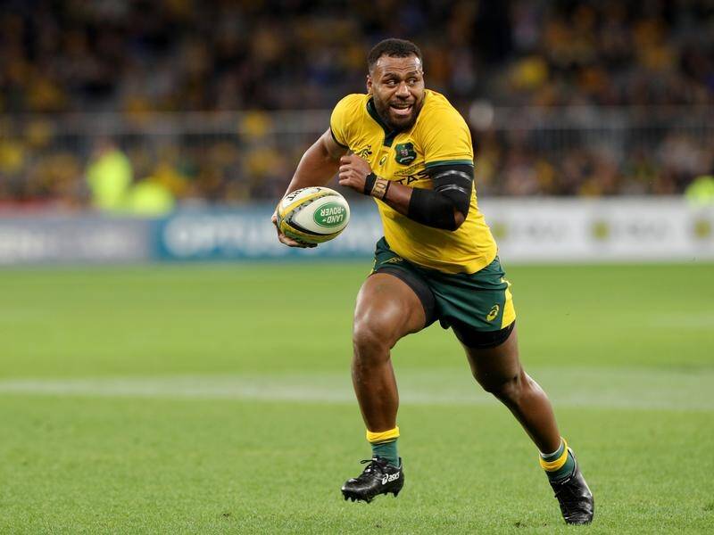 Centre Samu Kerevi will be one of Australia's key players at the Rugby World Cup.