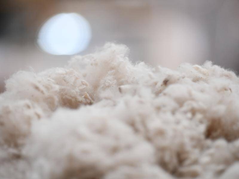 Many take the view the Australian wool industry is over-reliant on China, an industry council says.
