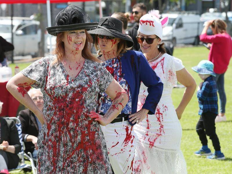 Protesters outside the Melbourne Cup say they wanted to party without engaging in animal abuse.