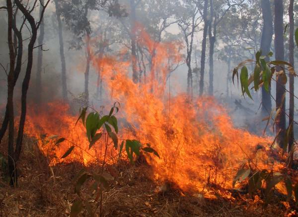 A South Coast RFS unit has called on residents to prepare for the bushfire season. File picture.