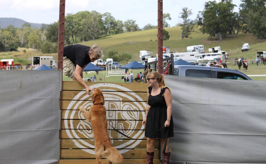 Some of the contestants in the dog jumping, like Bella, seemed more interested in the treats than making the jump.