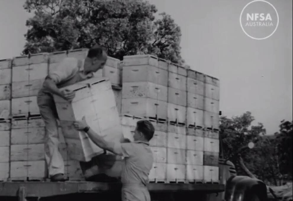 A still frame from the archival video on Bega bee-keepers. Do you know the people involved?