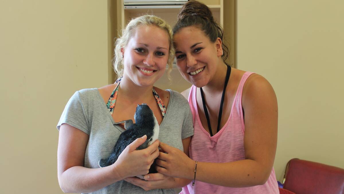 German backpackers Carolin Schreiner (left) and Julia Zeidler with a penguin they found with Rod Niemeier at Bithry Inlet.