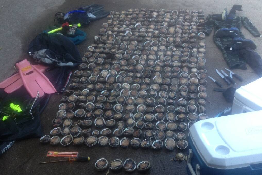 Abalone and dive gear was seized in an operation at Kiola.