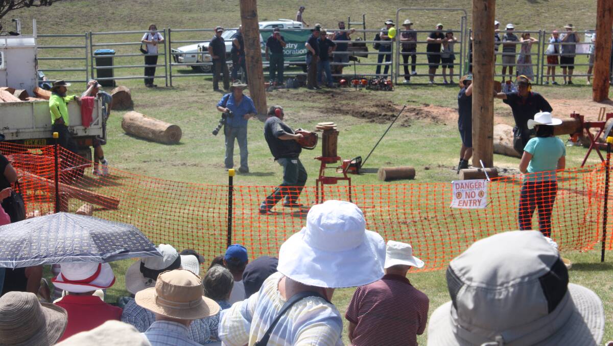 A large crowd enjoys the chainsaw and woodchopping demonstrations.