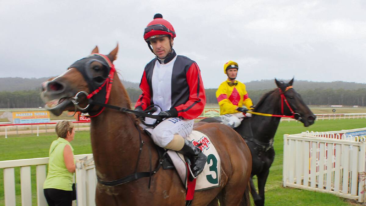• Scott Pollard riding the Grant Bobbin trained Arctic Reign heads for the stables after claiming a third place in the Sapphire Coast Regional Airport 1000 metre on Friday.