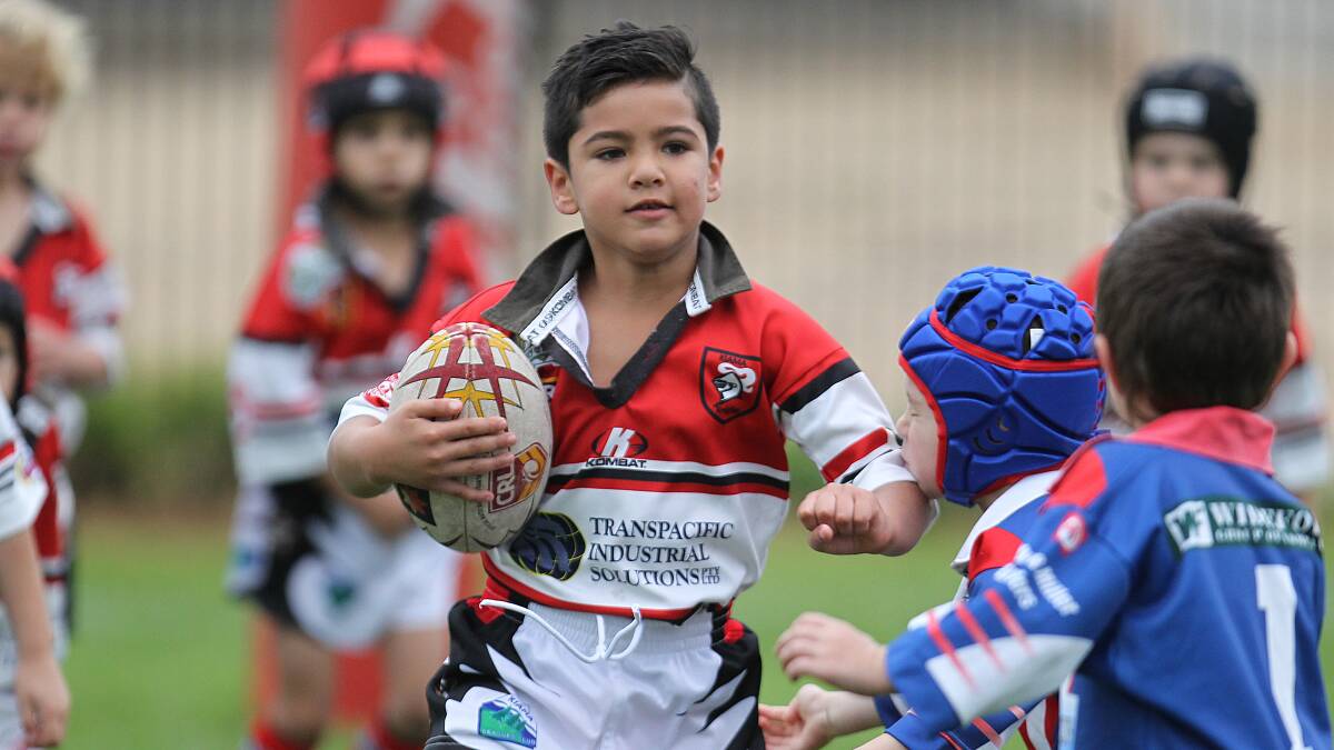 Kiama under-6s Harry Geuvara eyes off the oncoming Gerringong defence on Saturday. Picture: DAVID HALL 