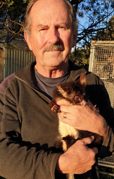 HELP AT HAND: John Lyle is a former war medic and in the past 21 years he's helped to save hundreds of animals. Photo: SUPPLIED