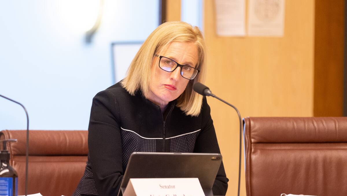Labor Senator Katy Gallagher says the "forces of conservatism" in the Coalition have blocked debate on Senator McMahon's bill. Picture: Sitthixay Ditthavong.