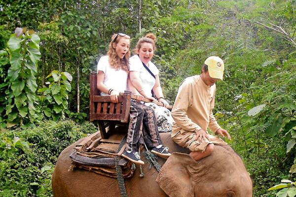 • Not quite the pace of Black Caviar but it was a great ride nonetheless when Persia Hughes and Annalise Nolan experienced elephant riding in Laos.