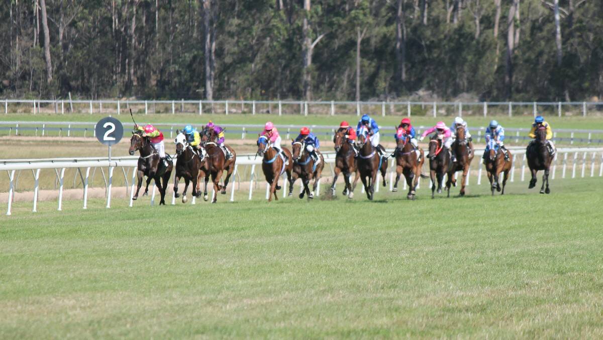 The field makes it way down the final straight during the $35,000 Bega Cheese Bega Cup feature race on Sunday.