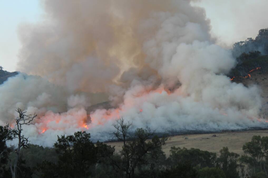 Adding fuel to the fire - a backburn operation engulfs scrubland near Jugiong in the Riverina. Photo: Supplied