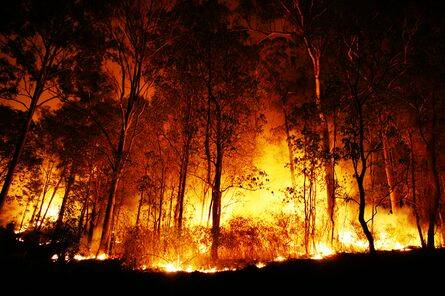  The warmest winter on record may lead to a bad fire season across the Monaro.