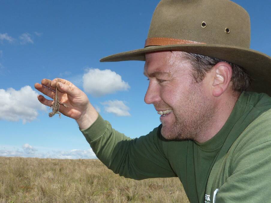 Tim McGrath of the UC’s Institute for Applied Ecology was in the district recently raising awareness of the rare little Grassland Earless Dragon. (Photos, ‘Tim the Yowie Man’, Canberra Times). 