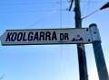 Koolgarra Drive in Bega was named after the Aboriginal word for 'hair, wool, and fur.' Picture by James Parker